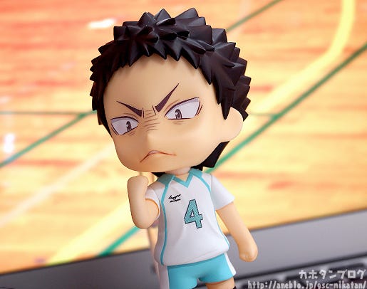 haikyuu nendoroid iwaizumi