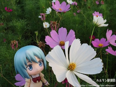 o0515038613763810764