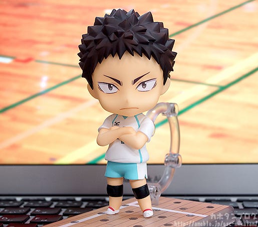 haikyuu nendoroid iwaizumi